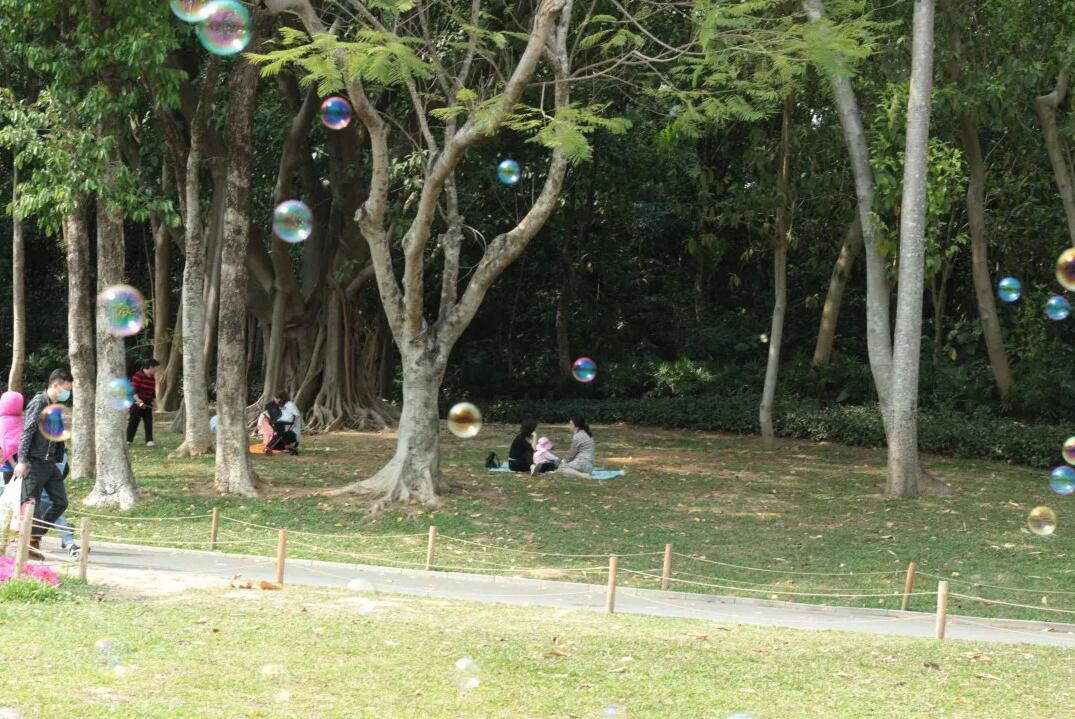 三月春意昂·結(jié)伴探春風(fēng)——君林企業(yè)踏青活動(dòng)掠影 三月春意昂·結(jié)伴探春風(fēng)——君林企業(yè)踏青活動(dòng)掠影